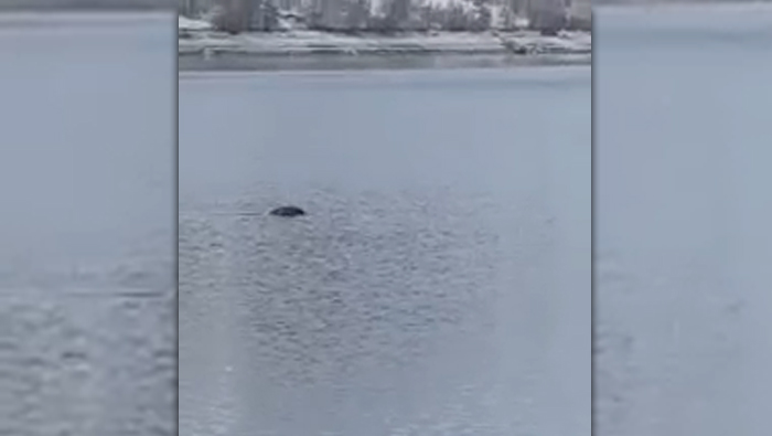 Possible Creature Spotted in Kosovo Lake [VIDEO]